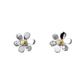 Summer daisy studs